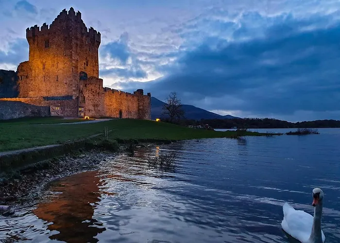 罗斯酒店 酒店 基拉尼