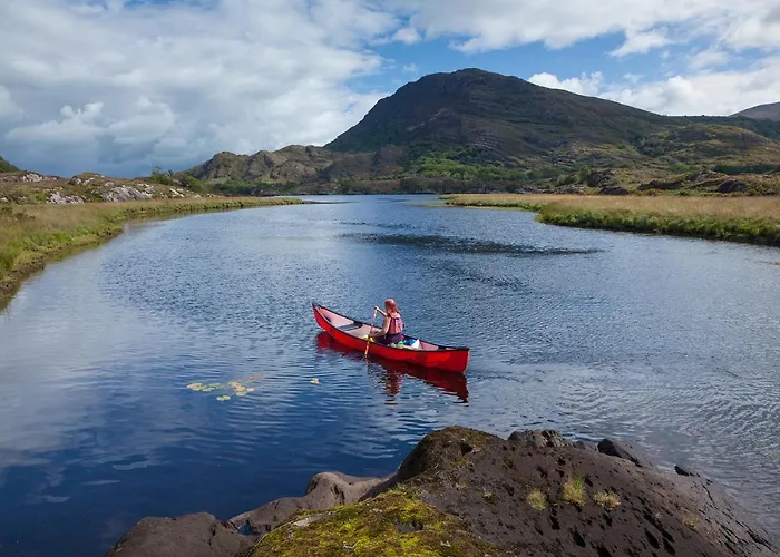 罗斯酒店 酒店 基拉尼