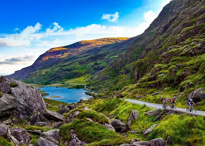 罗斯酒店 酒店 4*