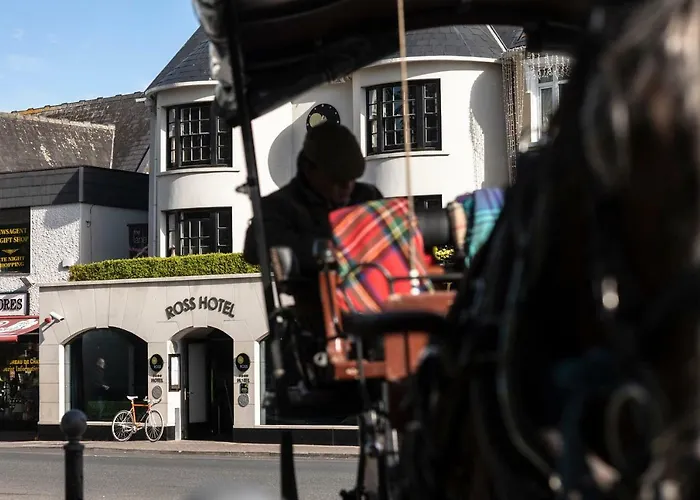 罗斯酒店 酒店 4*